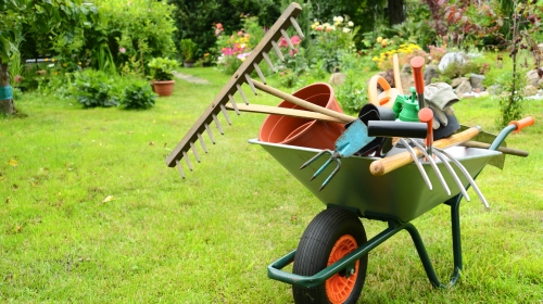 Impresa di giardinaggio Tuscolana